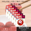 アサヒグループ食品 梅ぼし純 24粒 6個セット タブレット しそ葉入り 梅ぼし 果肉100% アサヒ Asahi 和歌山産しそ入り