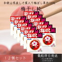 アサヒグループ食品 梅ぼし純 24粒 12個セット タブレット しそ葉入り 梅ぼし 果肉100% アサヒ Asahi 和歌山産しそ入り