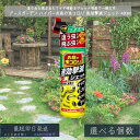 【アースガーデン】ハイパーお庭の虫コロリ 速効撃滅ジェット 480ml │ 虫コロリ ハイパー 速効 ジェット スプレー 這う虫 飛ぶ虫 ナメクジ ムカデ カメムシ アリ 庭 駆除【アース製薬】