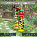 【アースガーデン】ハイパーお庭の虫コロリ 速効撃滅ジェット 480ml ×2個セット │ 虫コロリ ハイパー 速効 ジェット スプレー 這う虫 飛ぶ虫 ナメクジ ムカデ カメムシ 【アース製薬】