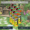 【アースガーデン】ハイパーお庭の虫コロリ 速効撃滅ジェット 480ml ×6個セット │ 虫コロリ ハイパー 速効 ジェット スプレー 這う虫 飛ぶ虫 ナメクジ ムカデ カメムシ 【アース製薬】