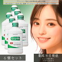サンスター GUM ガム 薬用 デンタルリンス レギュラータイプ 500ml ×6個セット │ 歯周病 予防 デンタルリンス 口臭 予防 液体歯磨き レギュラータイプ 洗口液 GUM 歯磨き