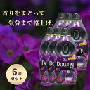 メキシコダウニー ミスティーク ソフナー 800ml 6個セット 濃縮タイプ 柔軟剤 ダウニー downy 大容量 本体 特大 洗濯 ボトル ランドリー 液体柔軟剤 ベトナムダウニー アジアンダウニー
