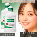サンスター GUM ガム 薬用 デンタルリンス レギュラータイプ 500ml ×2個セット │ 歯周病 予防 デンタルリンス 口臭 予防 液体歯磨き レギュラータイプ 洗口液 GUM 歯磨き