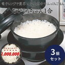 カクセー 電子レンジ炊飯器 一合炊き ×3個セット │ CK-001 備長炭配合 ご飯メーカー 日本製 魂魄と 炊飯ポット レンジ調理機 電子レンジ用炊飯鍋 めしべら 計量カップ 電子レンジ鍋