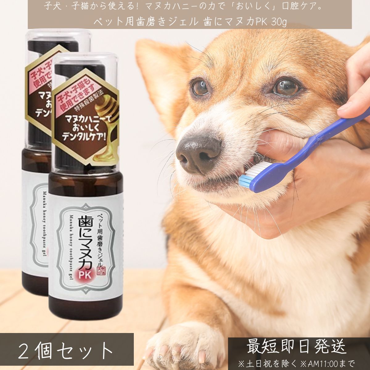 歯にマヌカPK ペット用歯磨きジェル 30g ×2個セット │ 犬 猫用 子犬 子猫対応 マヌカハニー50%配合 無..