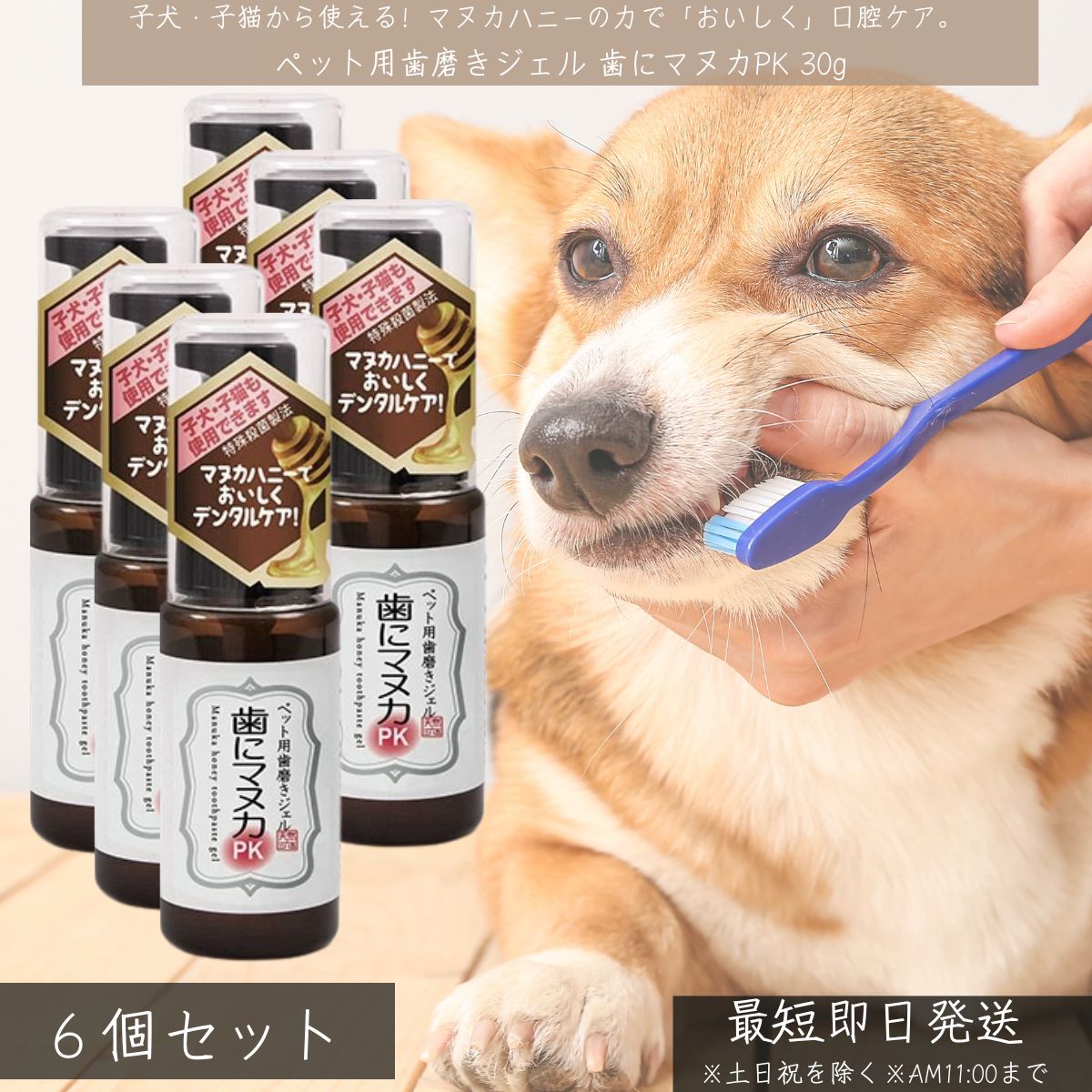 歯にマヌカPK ペット用歯磨きジェル 30g ×6個セット │ 犬 猫用 子犬 子猫対応 マヌカハニー50%配合 無..