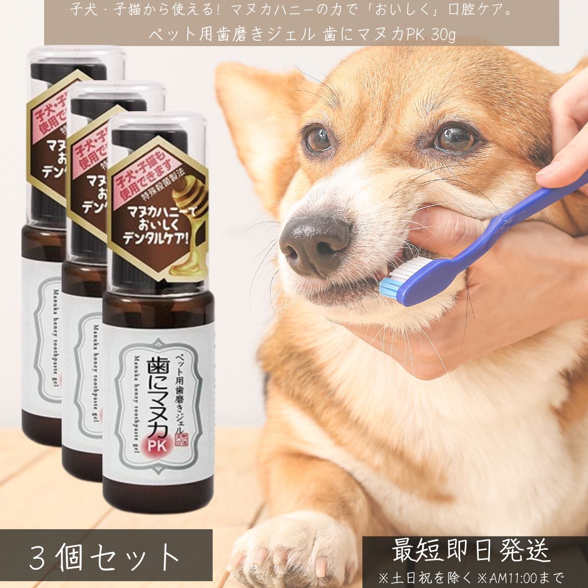 歯にマヌカPK ペット用歯磨きジェル 30g ×3個セット │ 犬 猫用 子犬 子猫対応 マヌカハニー50%配合 無..