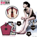 フットエクサペンタゴン Z1209 美脚 足裏 EMS ダイエット トレーニング ジム エクササイズ ながら運動 男女兼用 高齢 ふくらはぎ 美脚 プレゼント