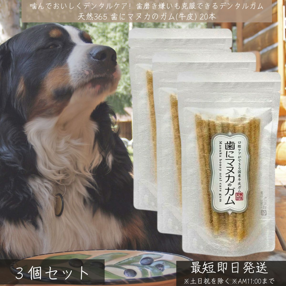 天然365 歯にマヌカのガム 牛皮 20本 ×3個セット │ 日本製 犬用デンタルガム 国産無漂白牛皮使用 ニュージーランド産マヌカハニー配合 歯垢 歯石 ケア...