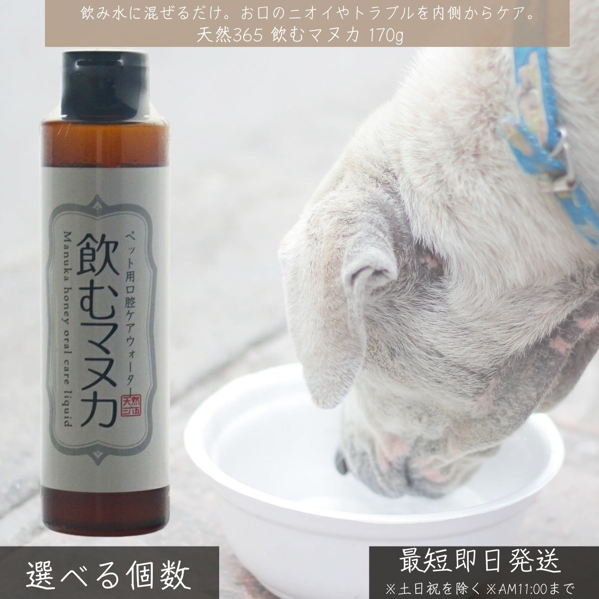 天然365 飲むマヌカ 170g │ ペット用 口腔ケアウォーター 犬 猫 マヌカハニー 日本製 歯周病 口臭 ケア..