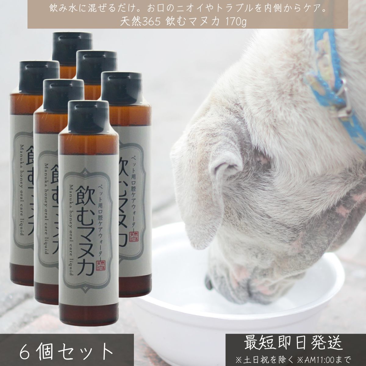 天然365 飲むマヌカ 170g ×6個セット │ ペット用 口腔ケアウォーター 犬 猫 マヌカハニー 日本製 歯周..