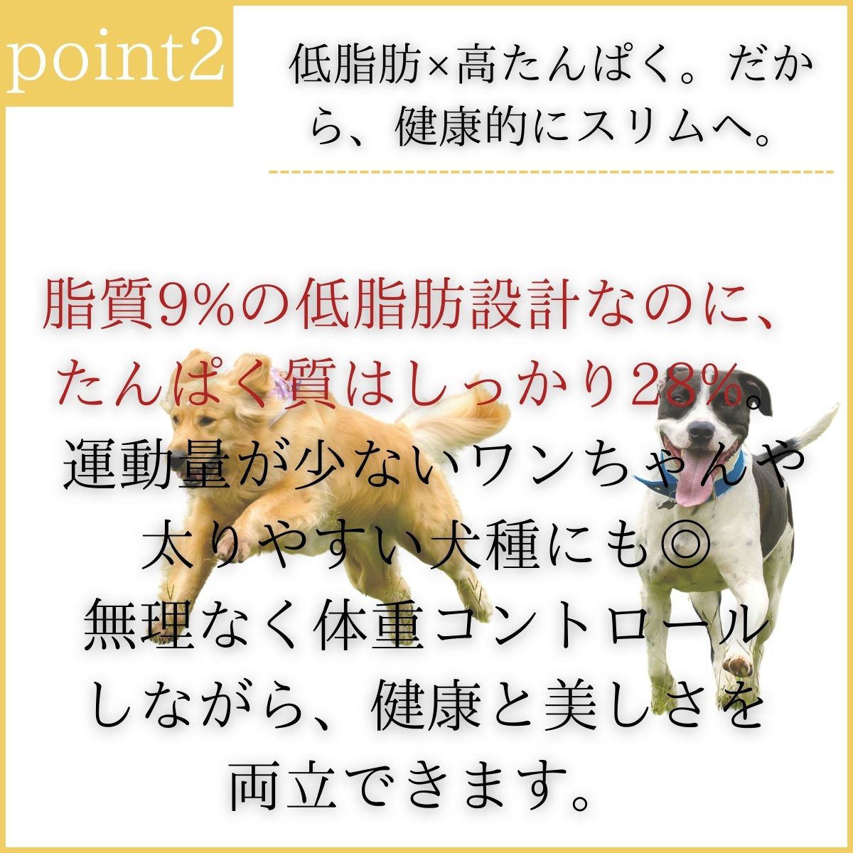 ニュートラム I18 / 体重管理 ドッグフード / 低脂肪 犬フード / 高タンパク フード / Lカルニチン 配合 / グルコサミン 犬用 / 無添加 フード / 小麦不使用 / 成犬 シニア犬 /