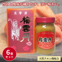 薬師堂 梅雲丹とろみ 240g (梅仁配合) 6個セット クエン酸 健康食品 ダイエット 健康 サプリメント 梅エキス 梅仁配合 植物性エキス 梅肉 疲労回復に