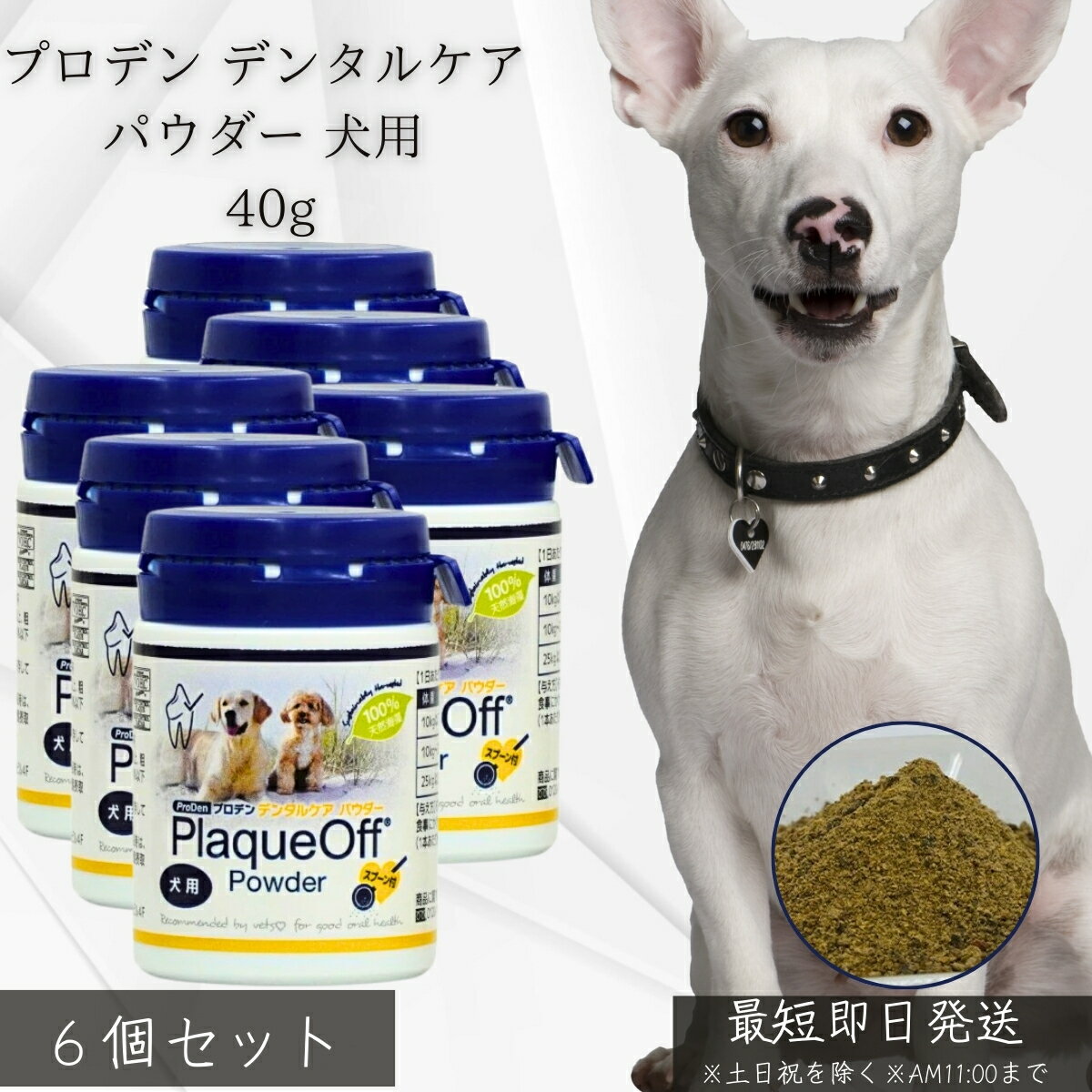 樂天商城 - プロデン デンタルケアパウダー 犬用 40g ×6個セット │ VOHC認証 獣医師推奨 歯石 歯垢 口臭ケア 天然海藻 無添加 グレインフリー デンタルパウダー サプリ 歯磨き代わり デンタルサプリ 【ギフト対応】 【ソーシャルギフト対応】 プレゼント