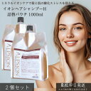 イオンヘアシャンプーH 詰替パウチ 1000ml ×2個セット │ 詰め替え 大容量 サロン専売品 ヘマチン ケラチン配合 髪質改善 ミネラルイオンケア ノンシリコン アルピュア ALPURE ヘアケア 弱酸性 無添加