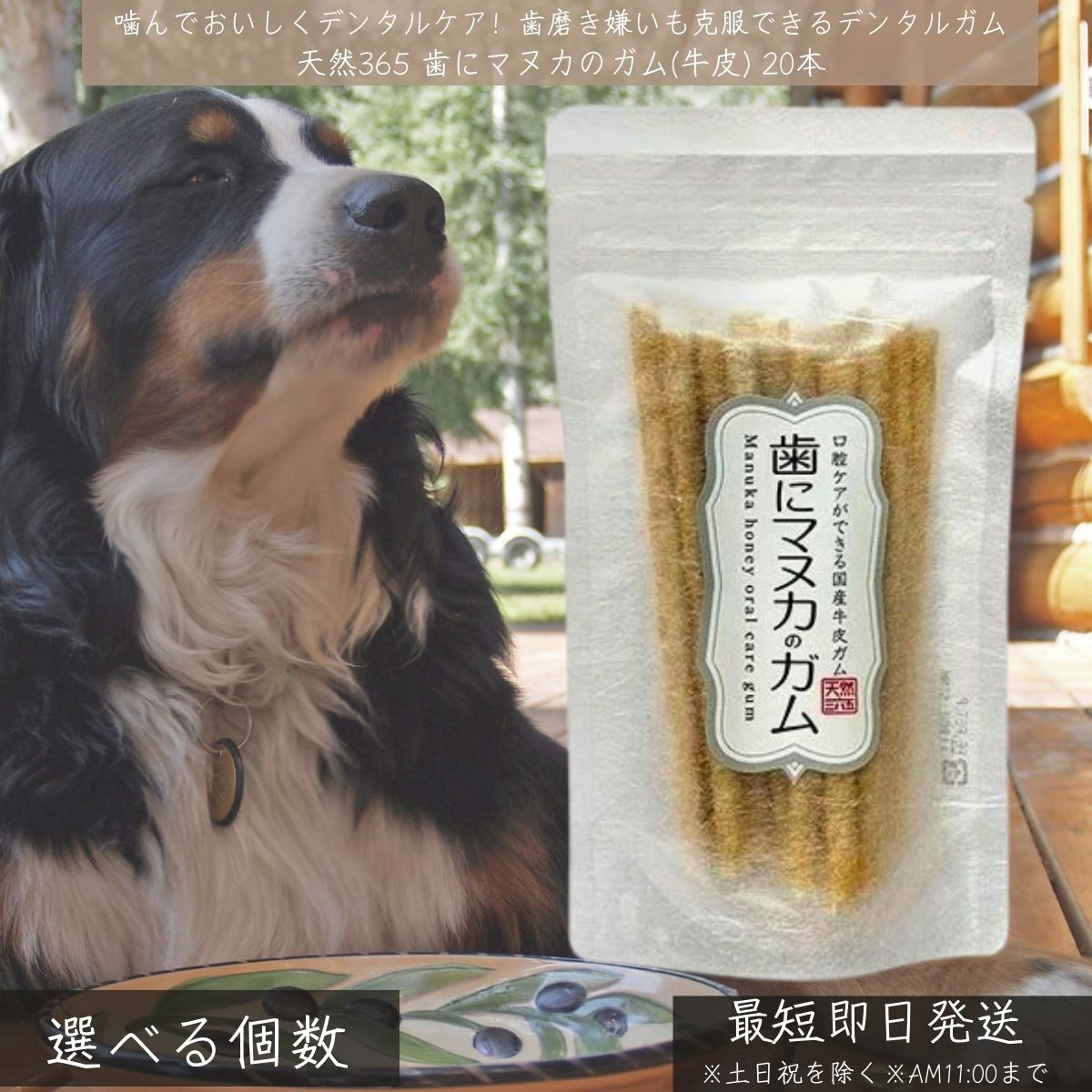 天然365 歯にマヌカのガム 牛皮 20本 │ 日本製 犬用デンタルガム 国産無漂白牛皮使用 ニュージーランド産マヌカハニー配合 歯垢 歯石 ケア 歯磨き代わり 噛むおやつ