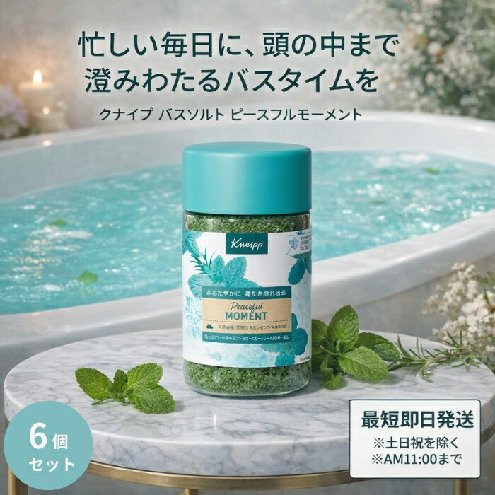 Rakuten - クナイプ バスソルト ピースフルモーメント ウォーターミント＆ローズマリー 850g ×6個セット │ 爽やかな香り ユニセックス 入浴料 【ギフト対応】 【ソーシャルギフト対応】 プレゼント