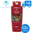 Oldspice オールドスパイス ボディソ