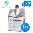 ALPSion アルピジョン イオンヘアシャンプーH 1000ml 詰め替えシャンプー 10個セット ノンシリコン レディース メンズ ヘアケアカラー ダメージヘアケア 低刺激 サロン専売品 美容室