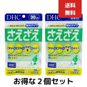 DHCさえざえ 30日分 1日2粒　60粒　2個セット サプリメント　思考 集中 コンドロイチン硫酸 健康食品 仕事 勉強 集中力 物忘れ ストレス DHA EPA　イチョウの葉　ギャバ　成分配合