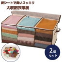 炭消臭 大収納衣装袋 スッキリ収納 2個セット 整理 炭シート 消臭効果 衣服 容量73.5L クローゼット 押し入れ 炭シート入り 収納袋 3つ 区切る 仕切...