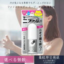 【リニューアル品】ファイントゥデイ Fine Today エージーデオ24 デオドラントスティックEX (20g)〔スティック〕無香料 AGデオ24
