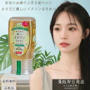 【からだに優しいイヌリンはちみつ】 チューブボトル 300g 選べる個数 MY HONEY 機能性表示食品 - マイハニー 血糖値 イヌリン 食物繊維 はちみつ...