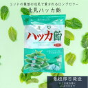 北見ハッカ飴 240g 北見ハッカ通商 ミント ハッカアメ 北見名物 北見 北海道 飴 キャンディ— 送料無料 ハロウィン お歳暮 御歳暮