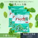 北見ハッカ飴 240g 3個セット 北見ハッカ通商 ミント ハッカアメ 北見名物 北見 北海道 飴 キャンディ— 送料無料 ハロウィン お歳暮 御歳...