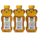 【送料無料】カークランド 750g×3本『ハチミツベアージャグ 3本』ハチミツ はちみつ 100% ピュア 天然 くまさん 容器 調味料 ハニー ベア