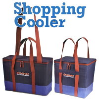 コストコ costco 『保冷バッグ 大小 2個セット』 クーラーバッグ 54L 42L COOLER BAG 大容量　エコバッグ　ショッピングバッグ ボックス型 ソフトタイプ アウトドア キャンプ BBQ 軽い コストコオリジナル