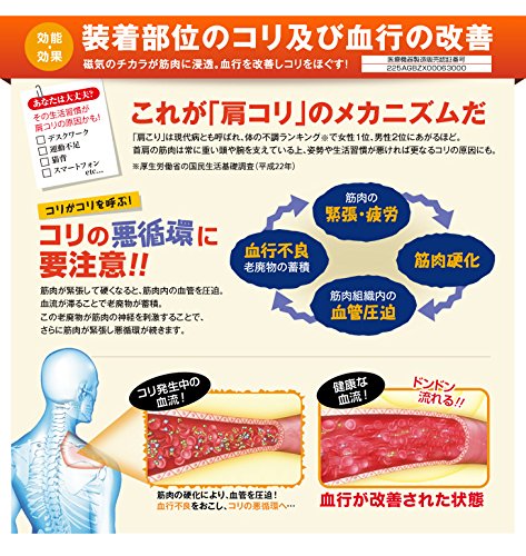 ファイテン(PHITEN)RAKUWA磁気チタンネックレスS