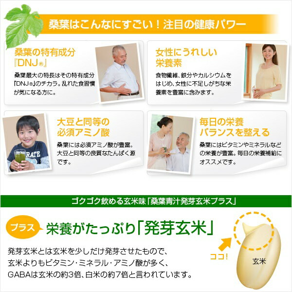 ファイテン(PHITEN)桑葉青汁発芽玄米プラス230g
