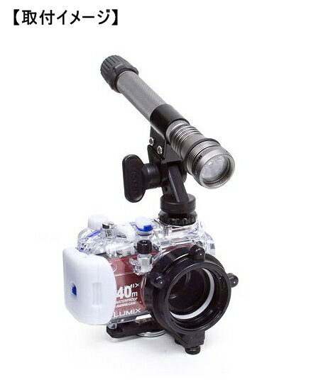 �ڤ椦�ѥ��åȤ�����̵��!�������Բġ���ã���������Բġ�INON(���Υ�) ���󥰥�饤�ȥۥ������LE ���¿��Τ���ʪ�����ֹ�ͭ��