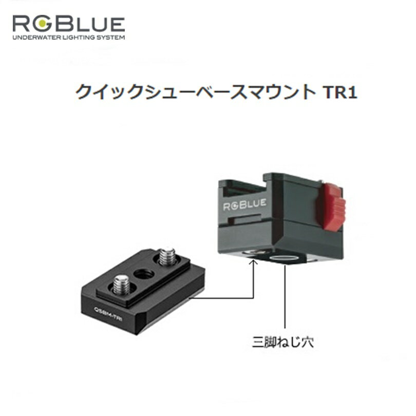 【定形外郵便で全国送料無料!代金引換購入不可／配達日時指定不可】RGBlue（アールジーブルー) ク ...