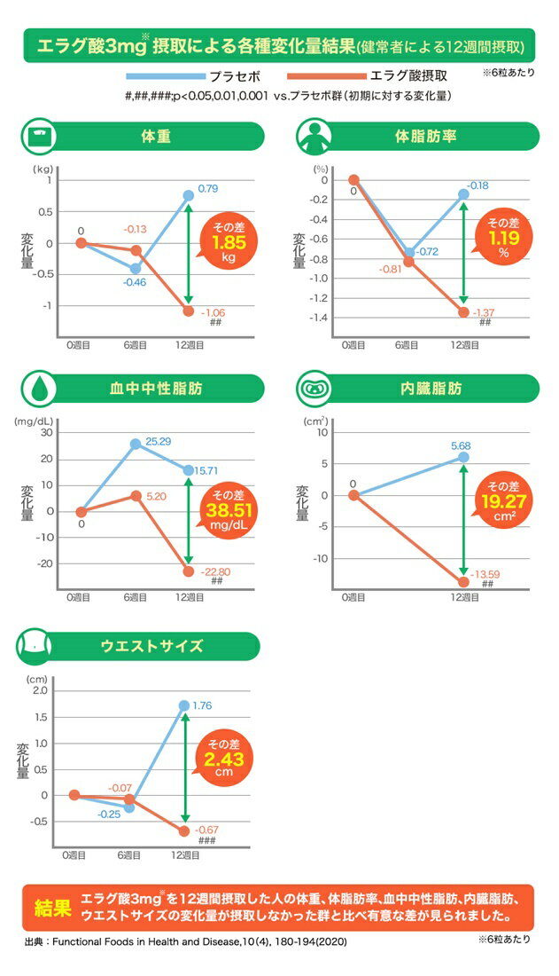 【ゆうパケットで全国送料無料!代金引換購入不可／配達日時指定不可】ファイテン(P...