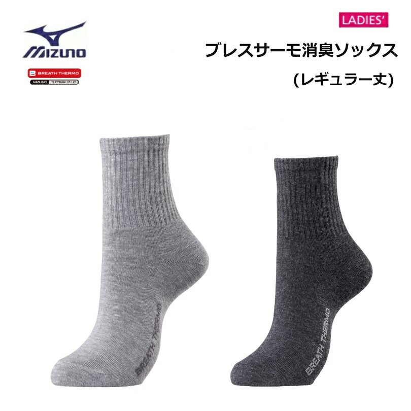 MIZUNO(ミズノ) ブレスサーモ 消臭ソックス 22～24cm 女性用 [C2JX2801]