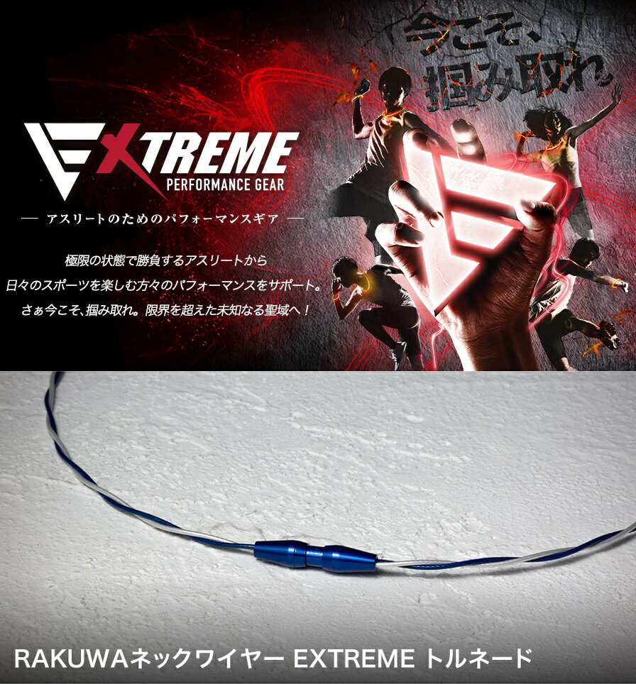 [ゆうパケットで全国送料無料!代金引換購入不可／配達日時指定不可] ファイテン(PHITEN) RAKUWAネック ワイヤー EXTREME トルネード 全5カラー 2サイズ ※安心のお荷物追跡番号有り 2