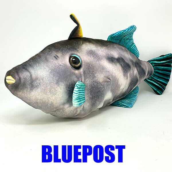 ［TST］[SK012]おさかなぬいぐるみ【ウマヅラハギ】さかなクンプロデュース・おさかなぬいぐるみのサムネイル