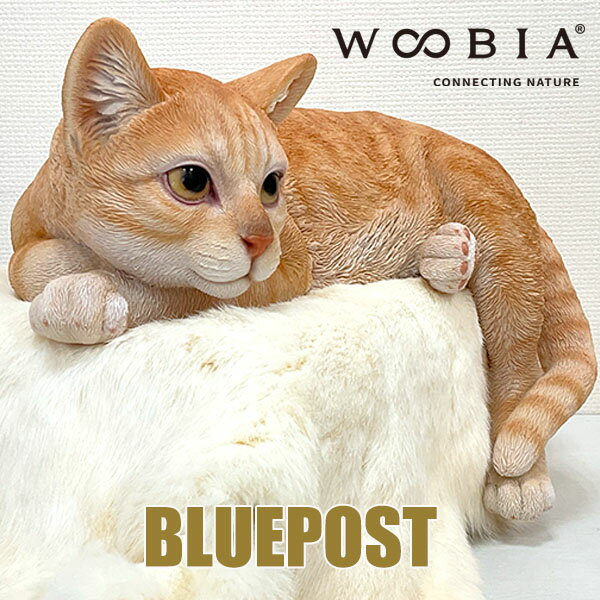 【送料無料】優雅に寝そべる無口な猫：H16625-5-1 横たわるダークビスケット猫インテリア ウービア 置..