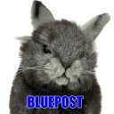 \棚卸決算セール/ピグミーウサギ グレー 18 BH8129 pygmy rabbit ハンサ hansa ぬいぐるみ 世界最小級のウサギ