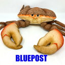 \棚卸決算セール/カニ オレンジ 35 BH6312 ハンサ crab※沖縄・海外・離島へは発送不可ハンサ ぬいぐるみ