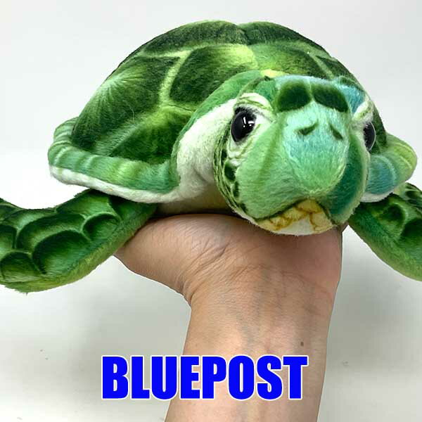 ハンサ BH7255 アオウミガメ-Green Turtle-※配送先が沖縄の場合は2200円加算させていただきます