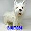 ̵ۡڻĤ1ۡΥϥ󥵡ϡ4567ϥȥϥɥƥꥢ45-west highland terrier-hansa xmas졦ΥȯԲ