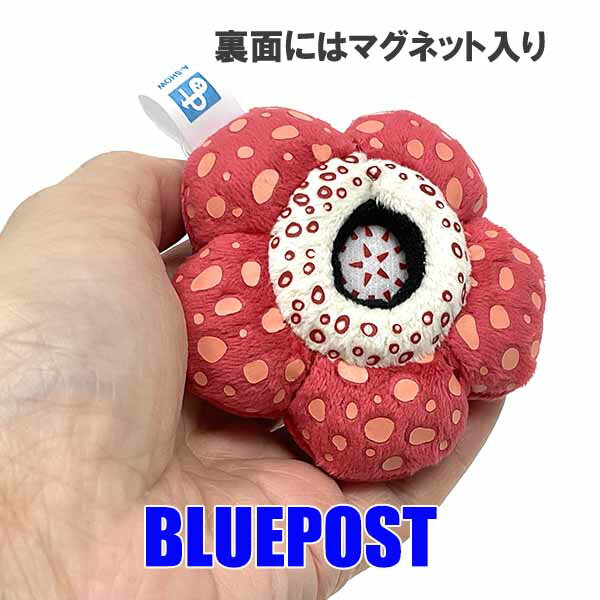 食虫植物雑貨 ラフレシア マグネット[植物コレクション]食虫植物 ぬいぐるみ グッズ