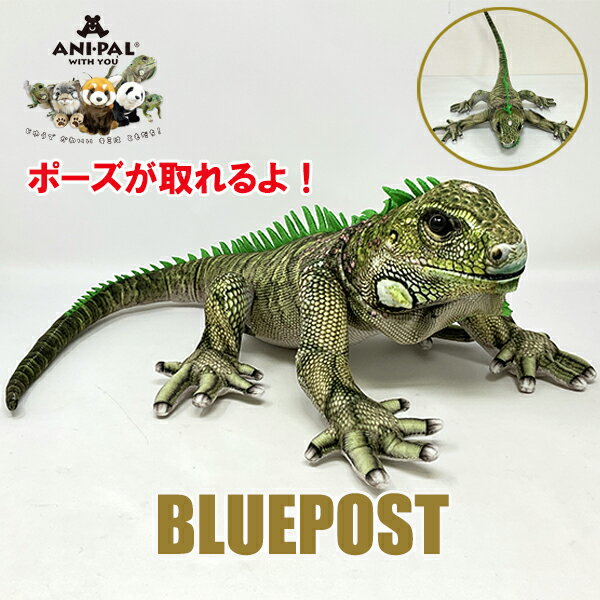 サンアロー 元祖イグアナのぬいぐるみ 昭和レトロ ヴィンテージ レア 楽天市場】イグアナ ぬいぐるみの通販