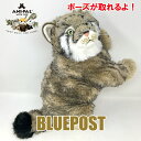 ポーズが取れるよ!マヌルネコ ぬいぐるみ(バッグ&冊子つき) 自由に動くぬいぐるみ -ANIPAL-アニパル まぬるねこ(3)