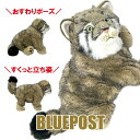 ポーズが取れるよ!マヌルネコ ぬいぐるみ(バッグ&冊子つき) 自由に動くぬいぐるみ -ANIPAL-アニパル まぬるねこ(3)
