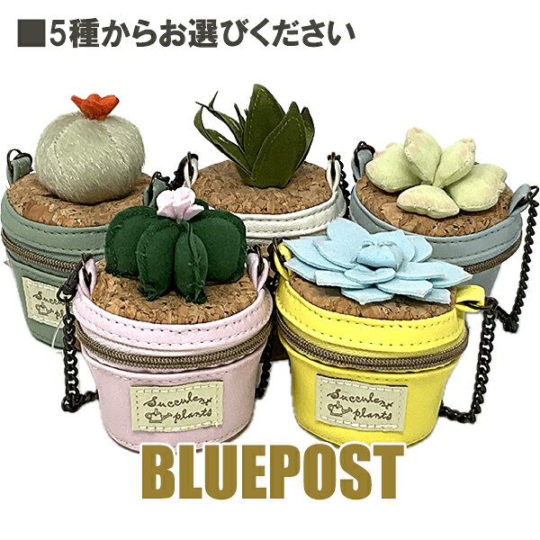 ＼在庫限りのセール／☆5種類の中からお選びください☆［サキュレントプラント］多肉...
